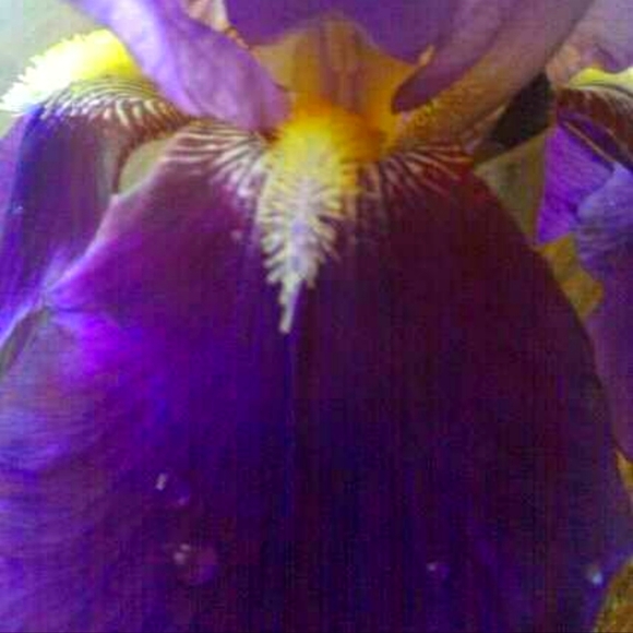 Meet your Posher, Kimberly - Picture 1 of 1